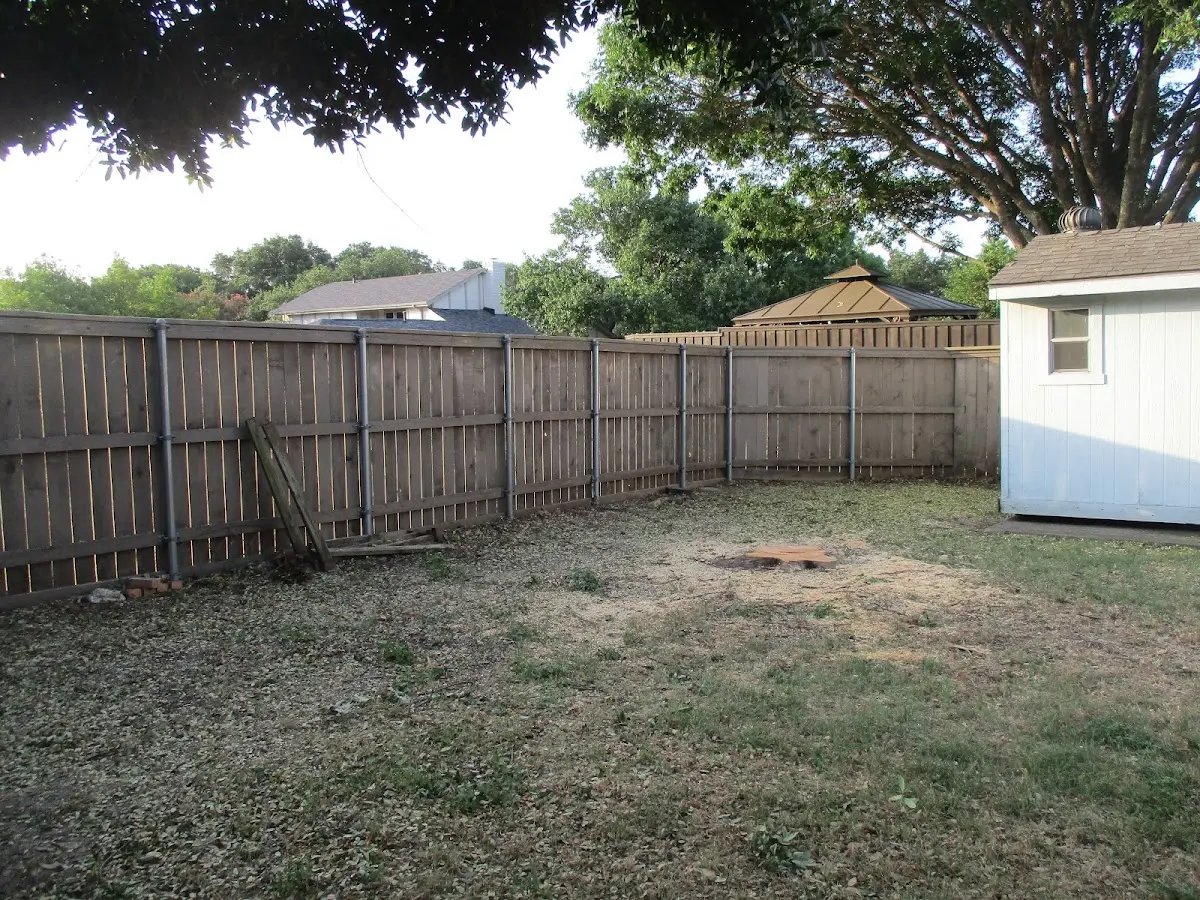 Cleared yard after professional tree removal in South Easton